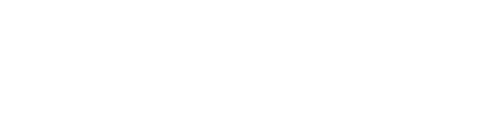 CyberDay